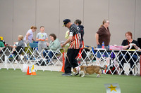 Photos of 961