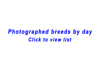 Breed list