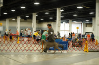 LR-03935