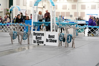 Best In Show