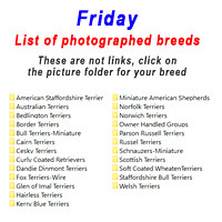 Breed list for Friday