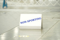 Non-Sporting