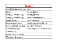 Sunday Breed List