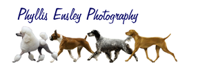 Phyllis Ensley Photography